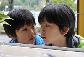 ステップファザー ステップ 渋谷龍生 樹生の双子に見入ってしまう Isao Watanabeの Spice Of Life ステップファザー ステップ 渋谷龍生 樹生の双子に見入ってしまう Isao Watanabeの Spice Of Life