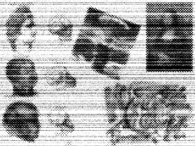c0211701_16542540.jpg