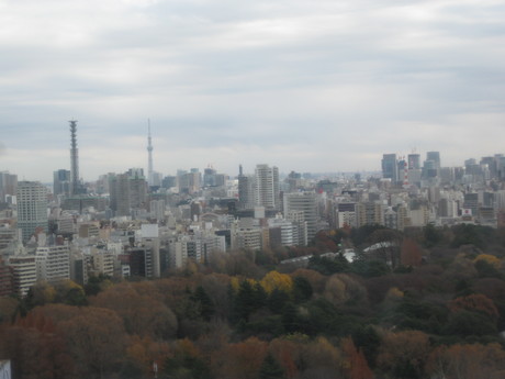 a0224502_16524971.jpg