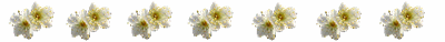 d0028304_2084043.gif