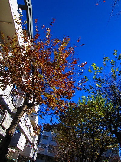 c0156908_0471730.jpg