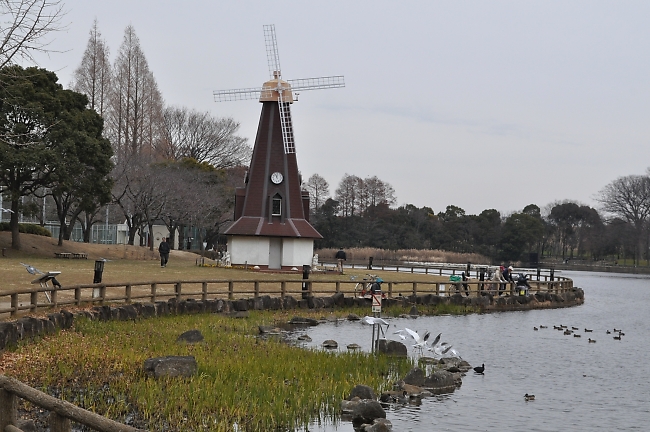 板橋のオランダさんとこ  〈 ３題 〉_b0067012_1483292.jpg