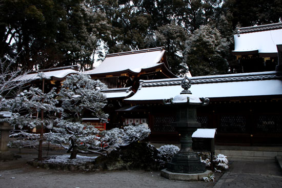 淡雪1　今宮神社_e0048413_16532088.jpg