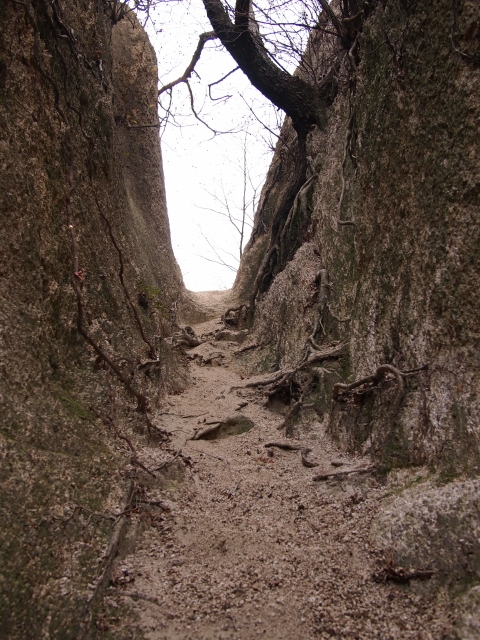 耐寒登山　六甲山_d0252924_12352257.jpg