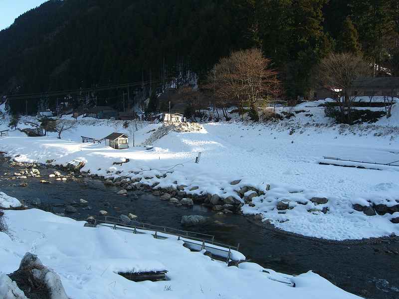 a0214046_1743795.jpg