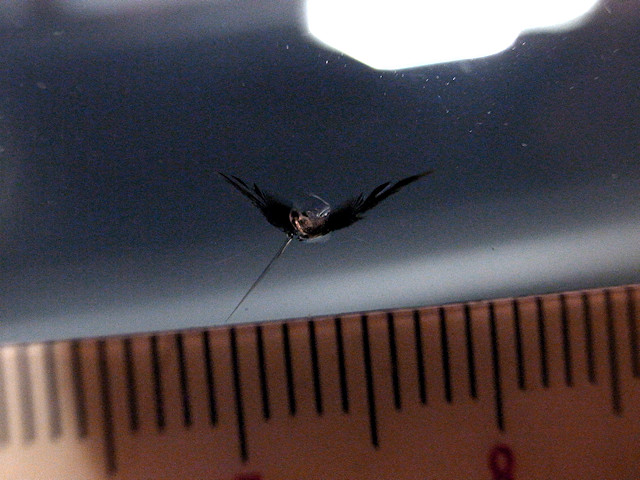b0076950_23272550.jpg