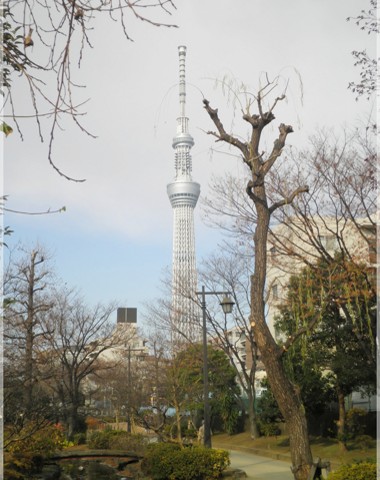 c0164052_2053269.jpg
