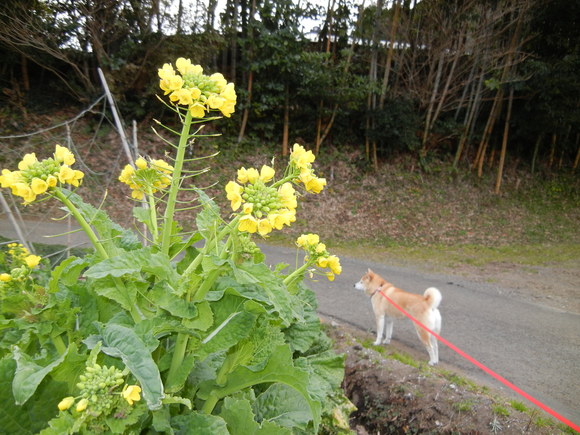 2012年1月19日(木)みんなで歌おう会!_f0060461_13265676.jpg