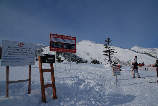 d0110562_2041745.jpg