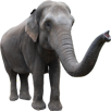 d0157764_22493832.png