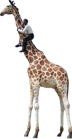d0157764_22494319.png