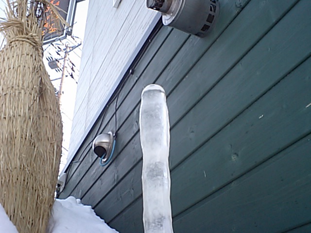 d0098665_1651519.jpg
