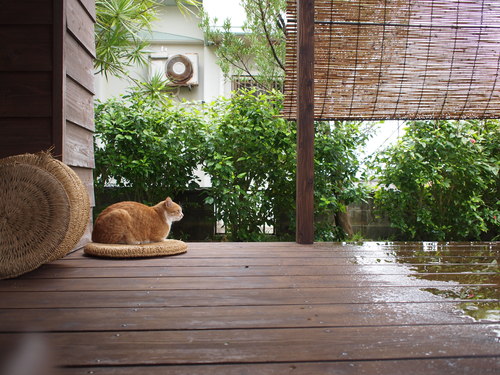okinawa 02_e0243765_1195580.jpg