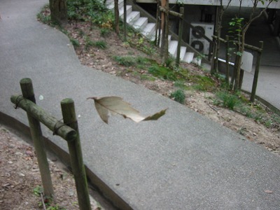 ボーっと見えるのかな?_d0165772_1945569.jpg