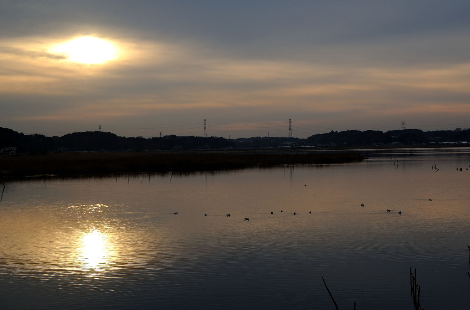 b0204383_22595840.jpg