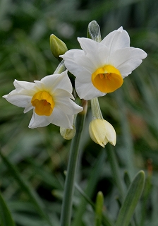 c0229483_2105451.jpg