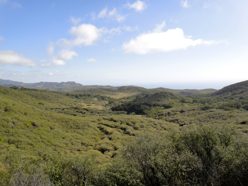 2012/01/16 Los Angels Trip Day.6 Leo Carrillo Trail Running_b0220886_15211990.jpg