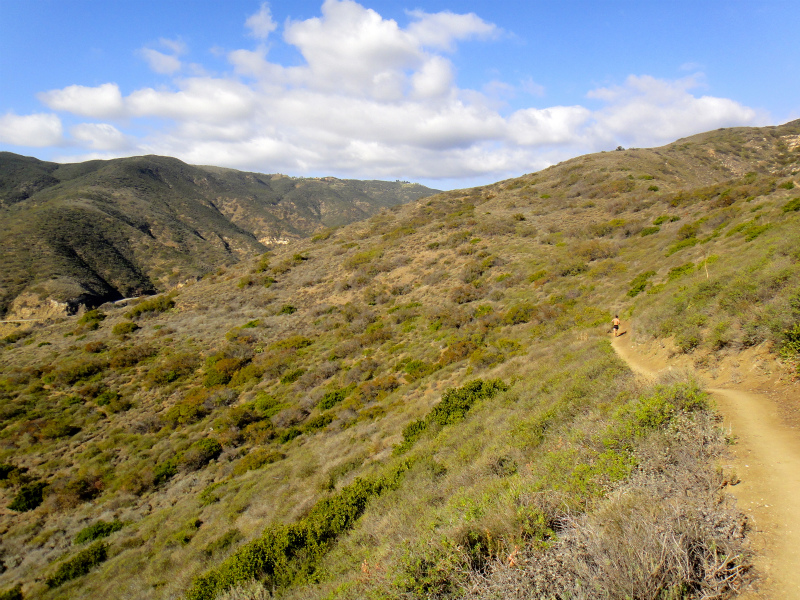 2012/01/16 Los Angels Trip Day.6 Leo Carrillo Trail Running_b0220886_1529362.jpg