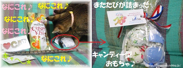 またたびキャンディで猫釣り_a0159490_11352524.jpg