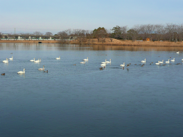 １月１９日　　　ＪＲ土浦労組旗開き　　　其の一_d0249595_18555815.jpg