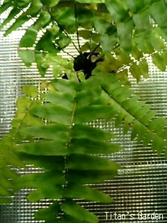 b0099813_012672.jpg