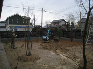 「豊田の家」植栽工事_b0179213_19393085.jpg