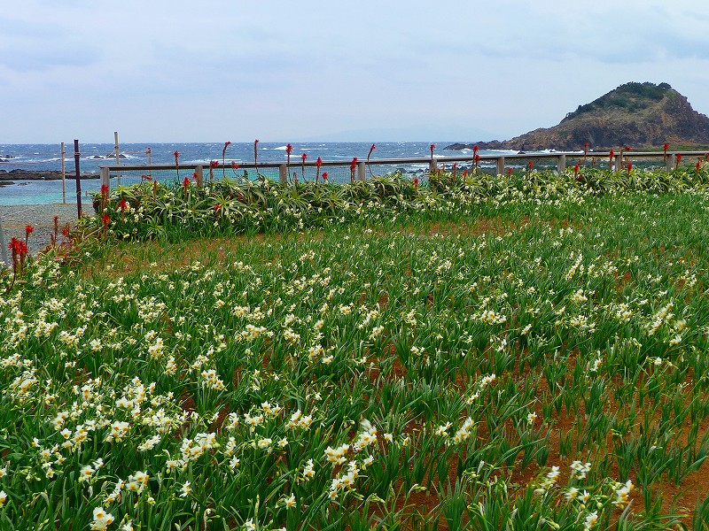 f0182513_029064.jpg