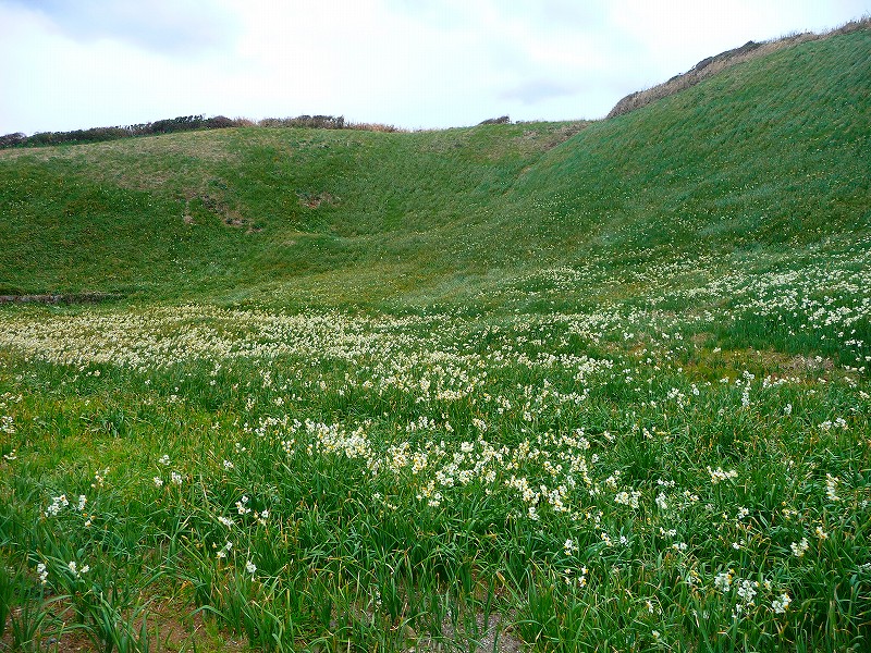 f0182513_029166.jpg
