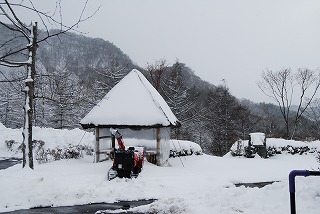 雪です・・・！_b0159914_23324357.jpg