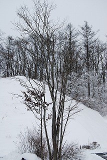 b0159914_2333643.jpg