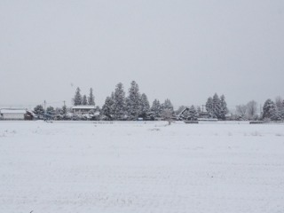 安曇野通信；安曇野は雪_c0047814_11203353.jpg