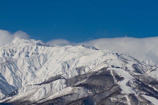 c0216518_1737127.jpg