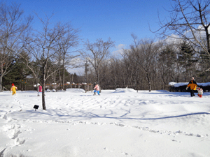 f0232920_15194396.gif