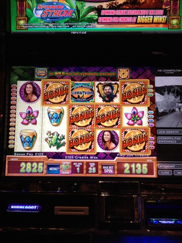 Typically Vegas Activities_c0201334_7355423.jpg