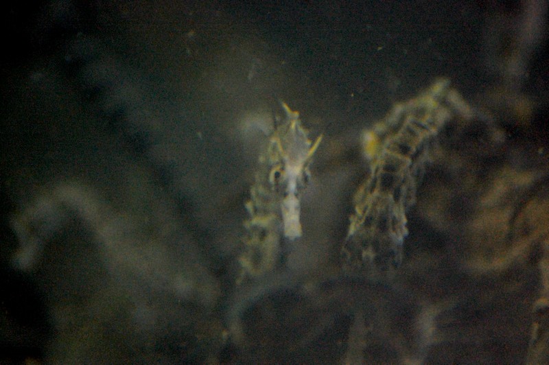 d0228234_17114825.jpg