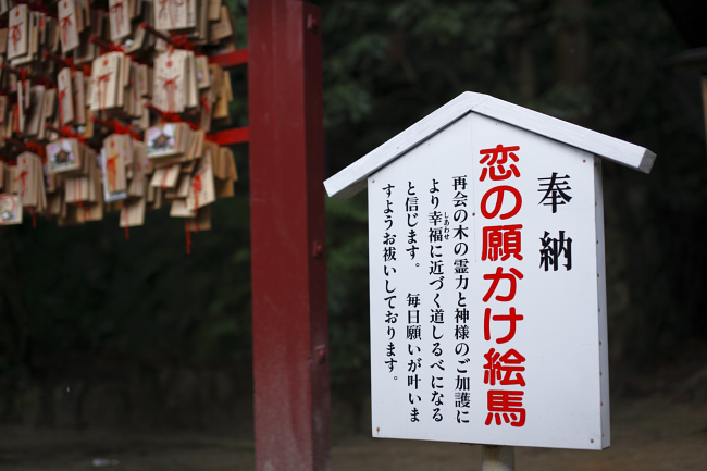 竈門神社へ＾＾_a0142435_19274879.jpg