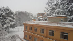 f0161535_19394716.jpg