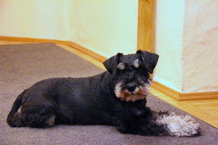 c0153740_16301576.jpg