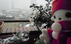d0197949_15142554.gif