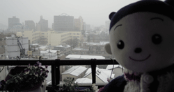 d0197949_15144956.gif
