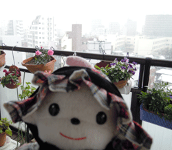 d0197949_1514910.gif