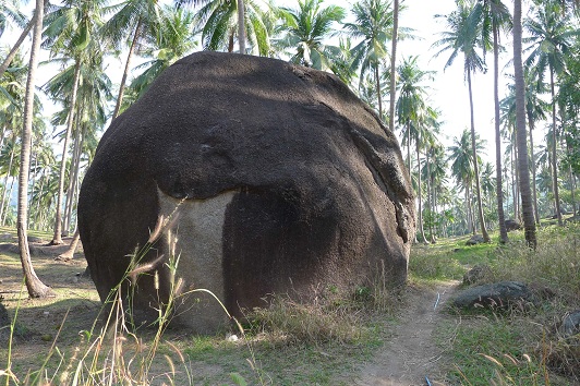 d0007657_8431950.jpg