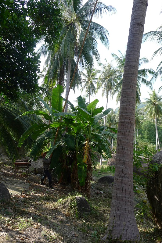 d0007657_911365.jpg