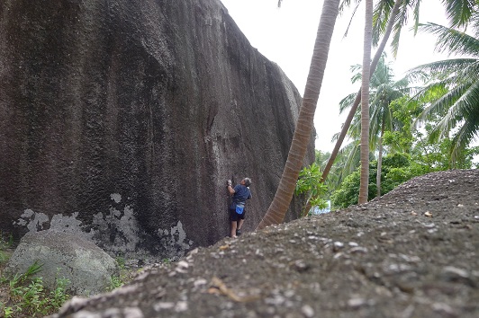 d0007657_9583239.jpg