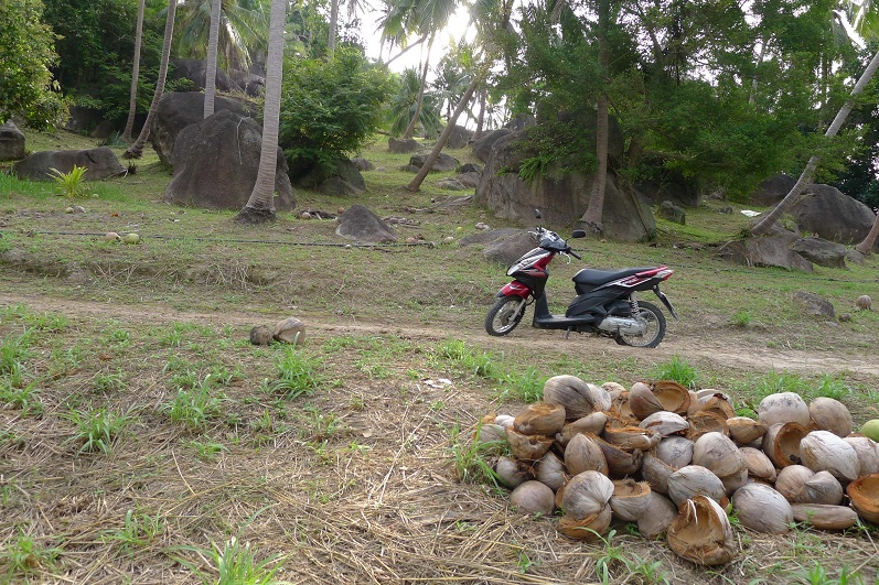 d0007657_98410.jpg