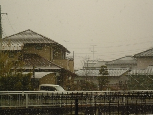 初雪♪_c0130861_8324799.jpg