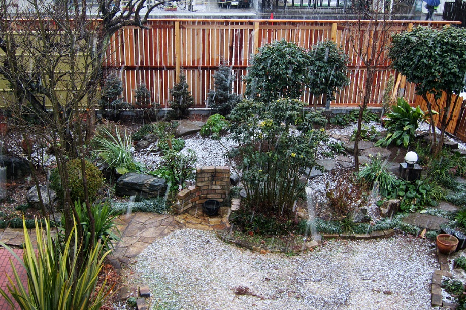 朝から雪景色_a0107574_822260.jpg