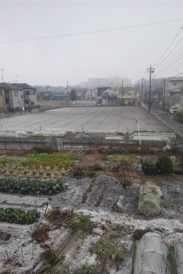 c0215176_10285860.jpg