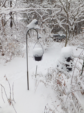 久しぶりの雪_d0142680_8134069.jpg