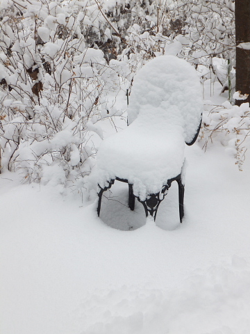 久しぶりの雪_d0142680_813481.jpg